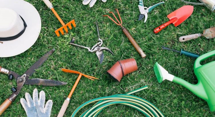 Por que afiar ferramentas de jardim faz toda a diferença no cuidado com as plantas